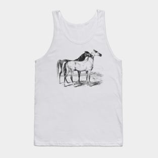 Horses Black & White Illustration Tank Top